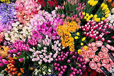 《开炮吧方舟》入围2025 ChinaJoy三大奖项，优质肉鸽幸存者收获认可